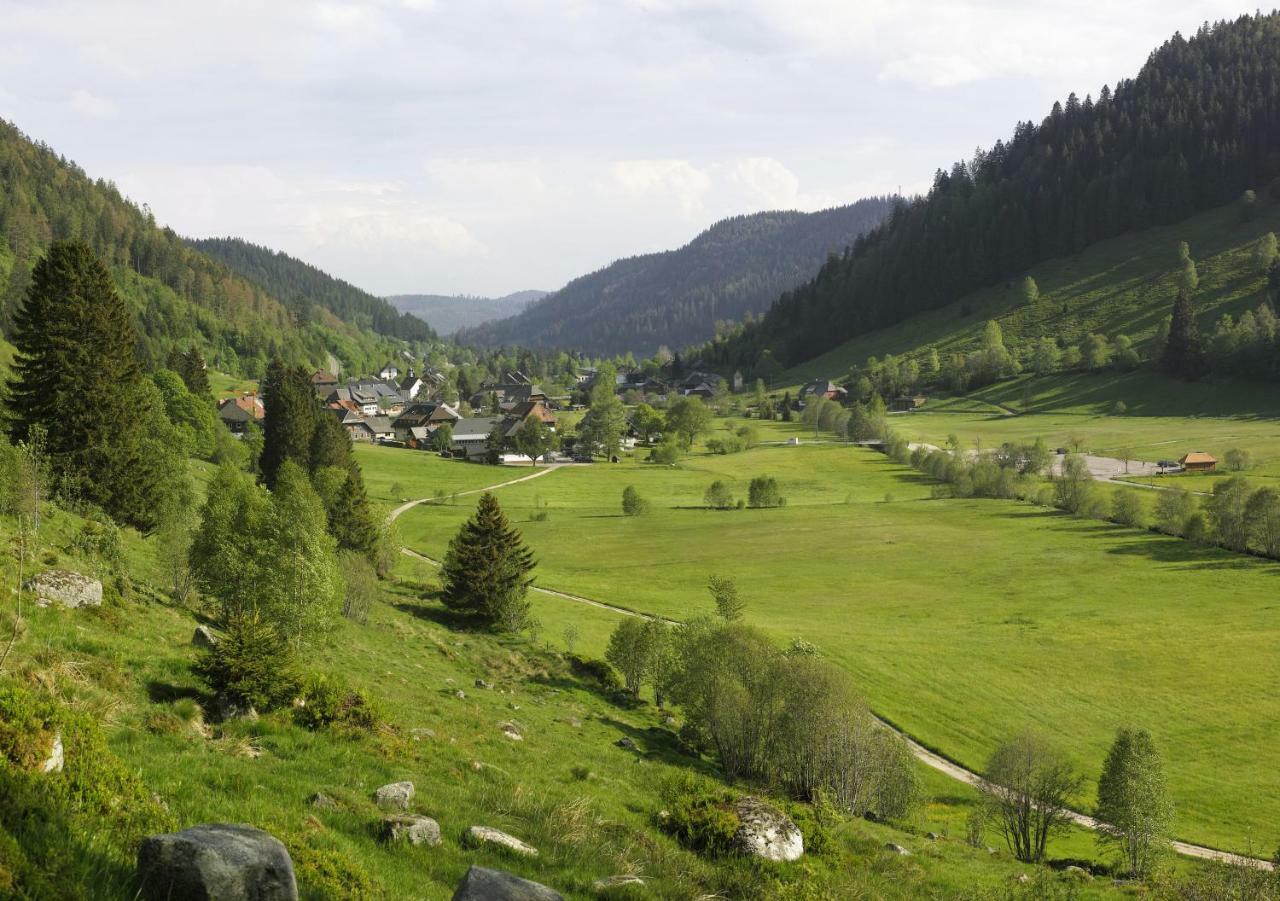 C2 Albmatte-Fewo , Hallenbad Aussenbecken Massagen Nebenan St. Blasien Εξωτερικό φωτογραφία