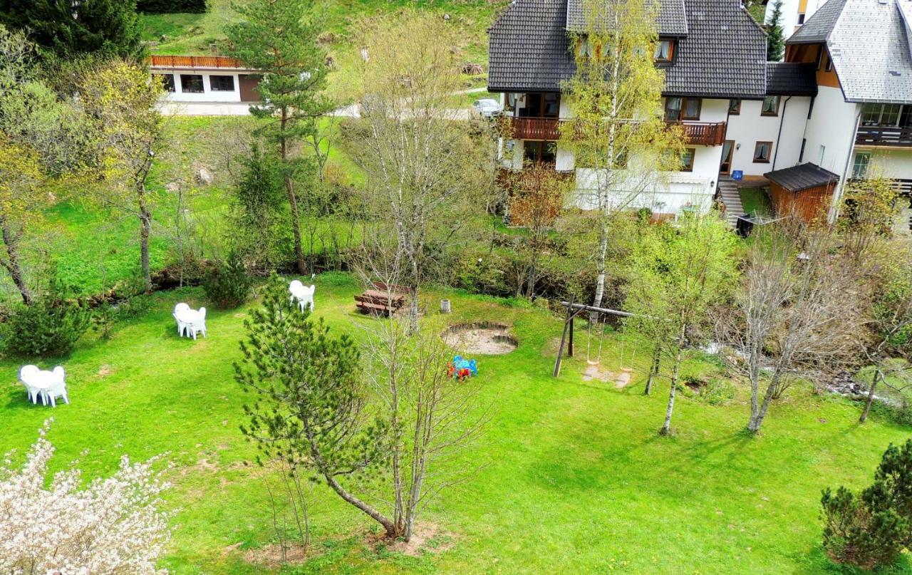 C2 Albmatte-Fewo , Hallenbad Aussenbecken Massagen Nebenan St. Blasien Εξωτερικό φωτογραφία